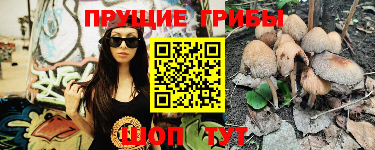 Галлюциногенные грибы Psilocybine cubensis Копейск