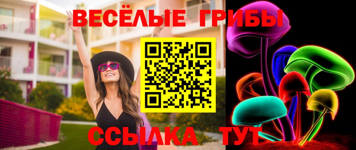 Копейск  Псилоцибиновые грибы мухоморы  Вход с VPN 